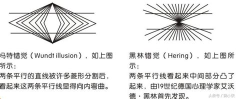 橫豎錯覺|這些有趣的心理學錯覺，你肯定有過